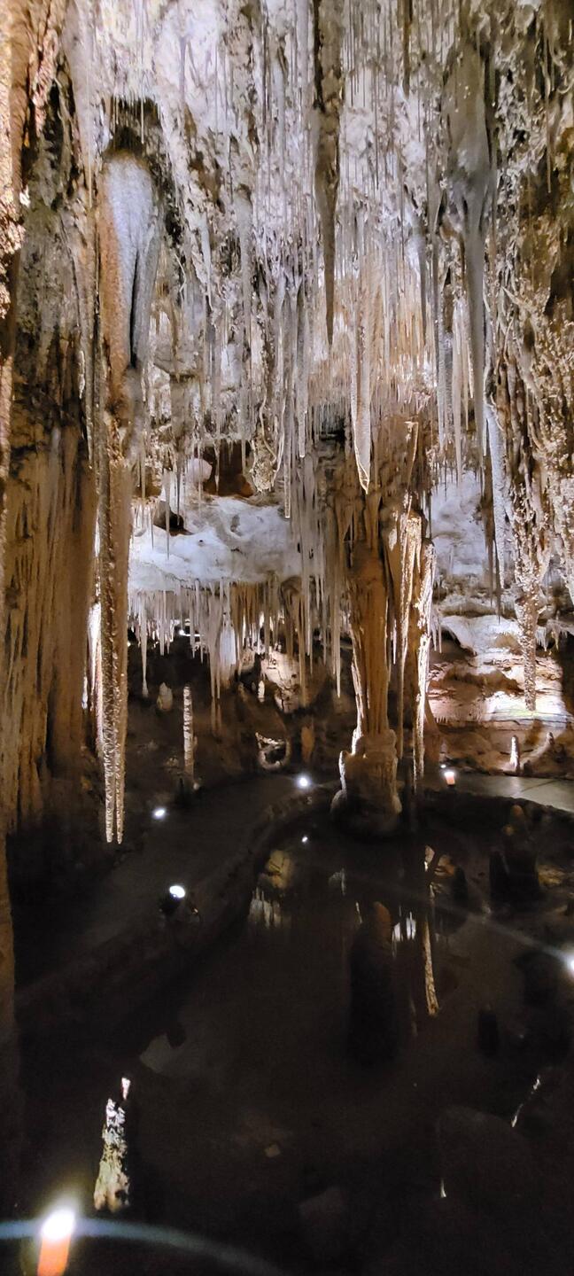 Tantanoola Caves