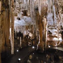 Tantanoola Caves