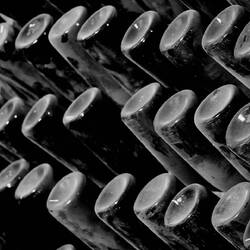 Excursion to the wineries.