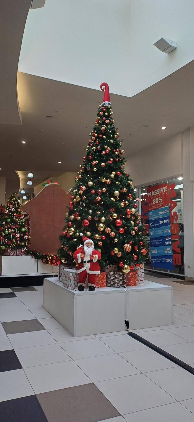 der Weihnachtsbaum