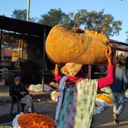 Auf zum Blumenmarkt!