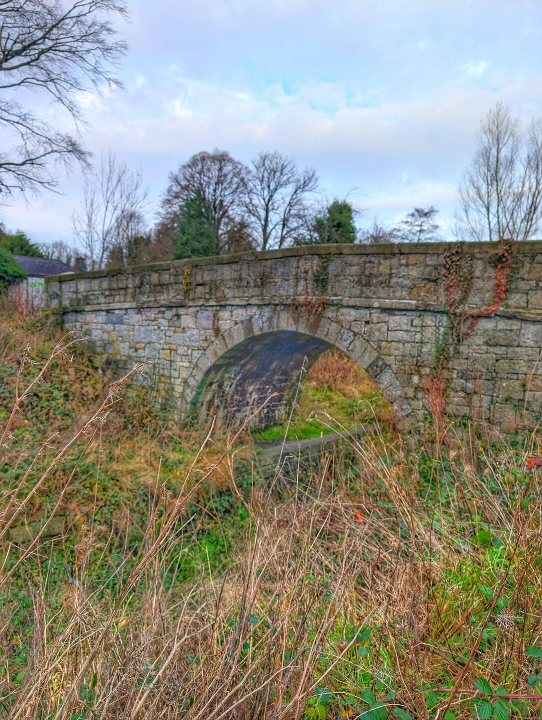 The Ulster Canal, or what's left of it.