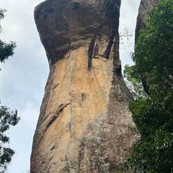 Cobra Rock