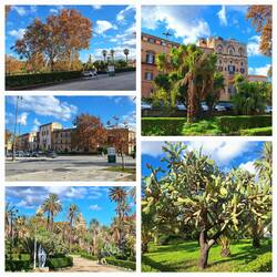 Palazzo Reale, Villa Bonanno, riesiger Kaktus