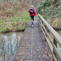 Frodo schickt mich vor!