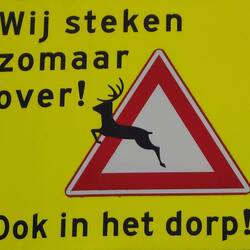 Mitten in Zandvoort diese Warnung!😳