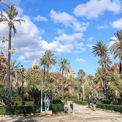 Palmenpark. Einmalig!