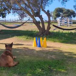 Und alle springen mit...! 😄