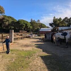 Oskar ist immer fleißig dabei