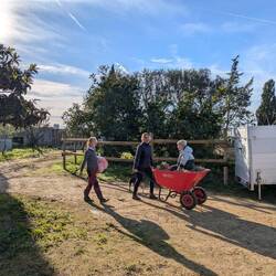 Es gibt immer was zu tun