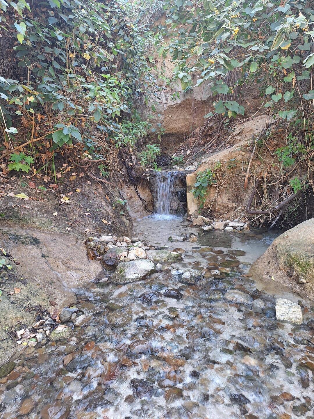 Die erste Süßwasserquelle in Mexico