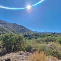 Endlich mal wieder etwas grün