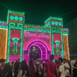 More Christmas lights