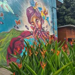 Medellin is famous for a lot of really quite good street art