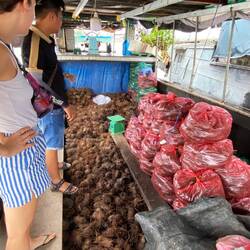 Ein Verkaufsschiff voller Süsskartoffeln