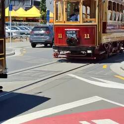 Viele alte Straßenbahnen fahren Touristen durch die Stadt