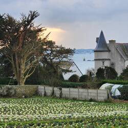 Ile-de-Batz looking back to Roscoff