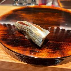 Fish similar to herring