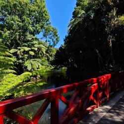 Pukekura Park