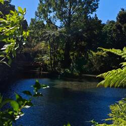 Pukekura Park