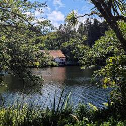 Pukekura Park