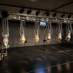 This is a "cloaca professional" that is alive and working...