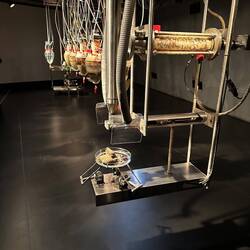 ...and we saw it poop at 2pm