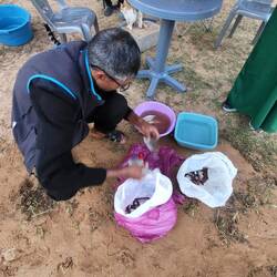 Abdulkarim cleaning the fish