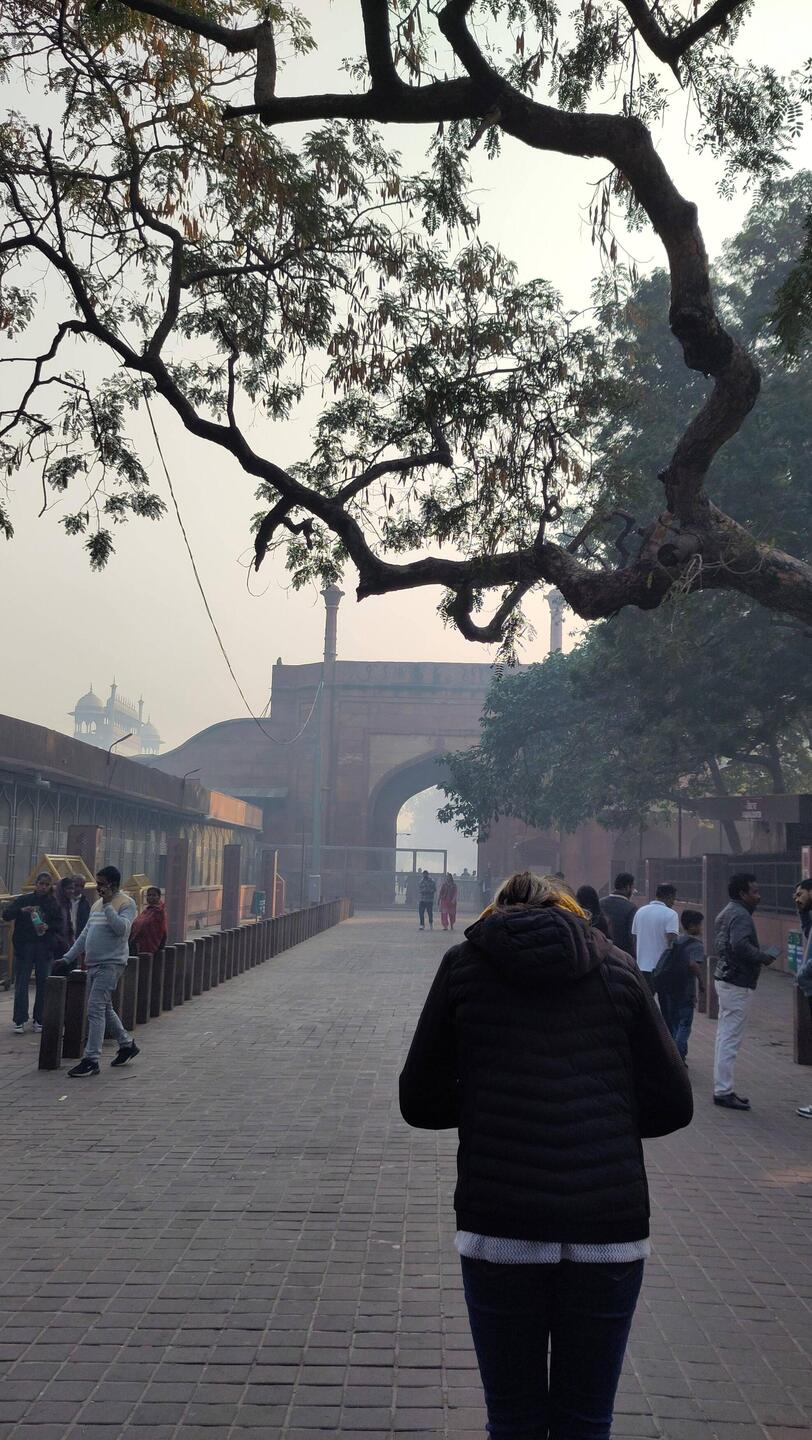Im morgendlichen Nebel nähern wir uns dem Westtor zum Taj Mahal