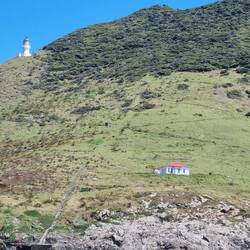 Cape Brett Lighthouse