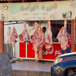 Da hängt unser Kamelfleisch