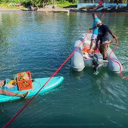 Cas und Co. helfen beim Vertäuen an der Palme