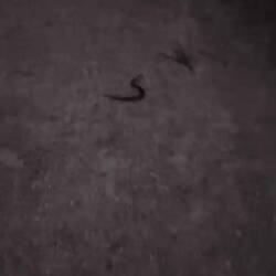 Abends auf dem Weg zum Klo 😅