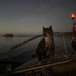 Going up for her evening watch