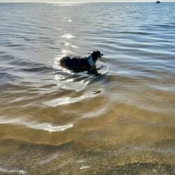 You can see how far we have to paddle to get to shore.