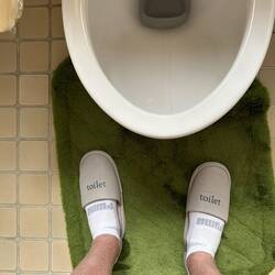 At one of our lunch stops, you were required to put on slippers before going to the toilette.