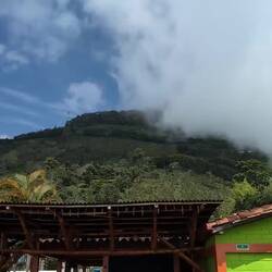 Here are the mists in action. Fortunately, no guerrillas.