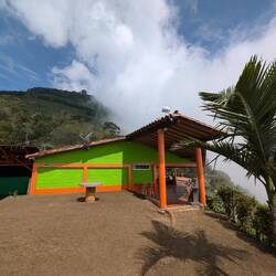 A cafe overlooking the coffee fields