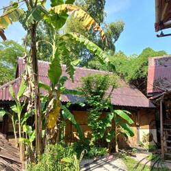 Roof to install a solar collector on