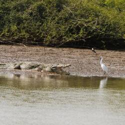 Na, erkennt wohl jeder...