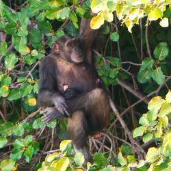 Mutti macht's sich bequem, mit dem Kleinen auf dem Schoß
