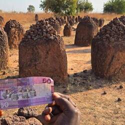 Das Wahrzeichen passt auch auf dem 50 Dalasi-Schein abgebildet. Übrigens ein Weltkulturerbe