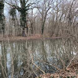 Wilde Saale