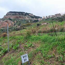 Blick auf Caltavuturo