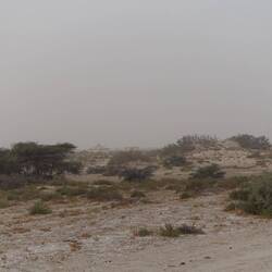 Das geht doch schon als Savanne durch, Dornsavanne laut Wikipedia