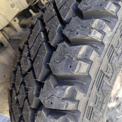 Jetzt kann Baja mit den vielen Offroadstrecken kommen!