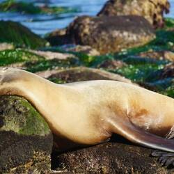 Angenehme Schlafposition?