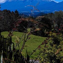 Mt. Taranaki