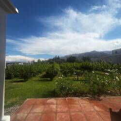 Und ab in eine Bodega 🍷🍇