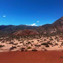 Noch kurz eine Runde die Natur genießen 😍